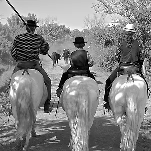 https://bnb-mas-du-menage-en-camargue-manade-clauzel.fr-provencehotel.com